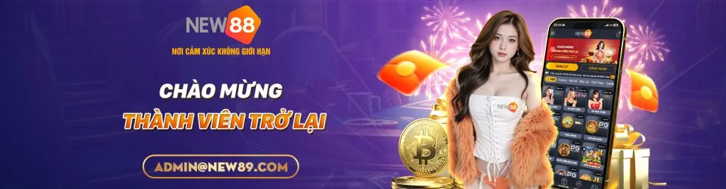 Chính Sách Bảo Mật & Điều Khoản Dịch Vụ