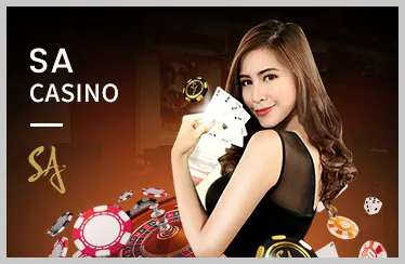 Đấu trường đá gà truyền thống với hai chú gà đang thi đấu